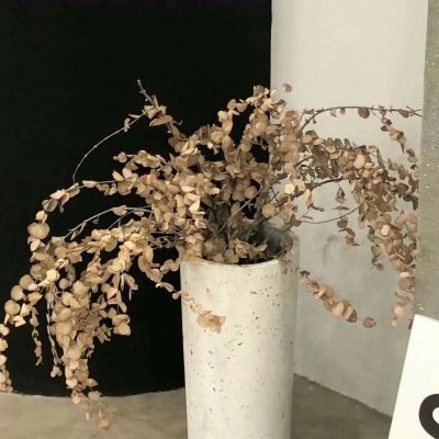 Furry萌系风格设计技巧FurryQQ群